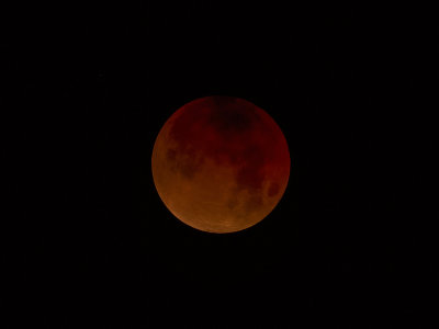 Blood Moon- Lunar Eclipse