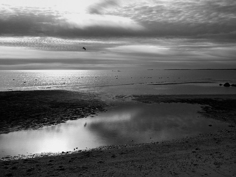 Harveys Beach - Color version below
