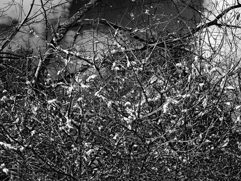 March in Connecticut