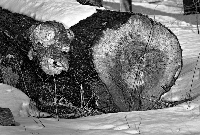 February in Connecticut