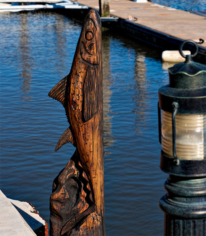Saybrook Point Marina