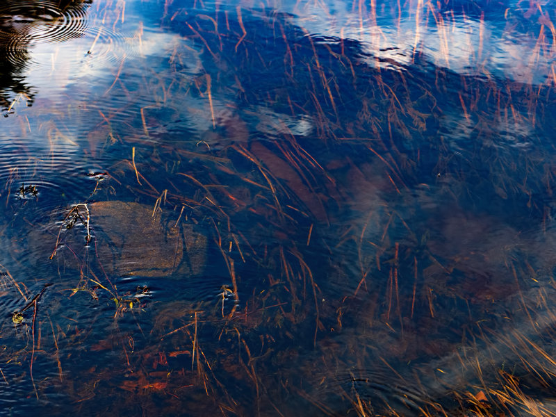 Pond - Chatfield State Park