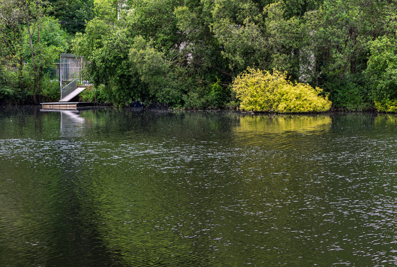 The River Lee