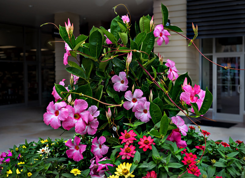 Outdoor display - Bishops Corner 