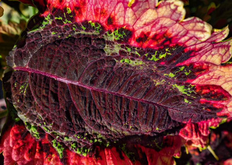color & textures