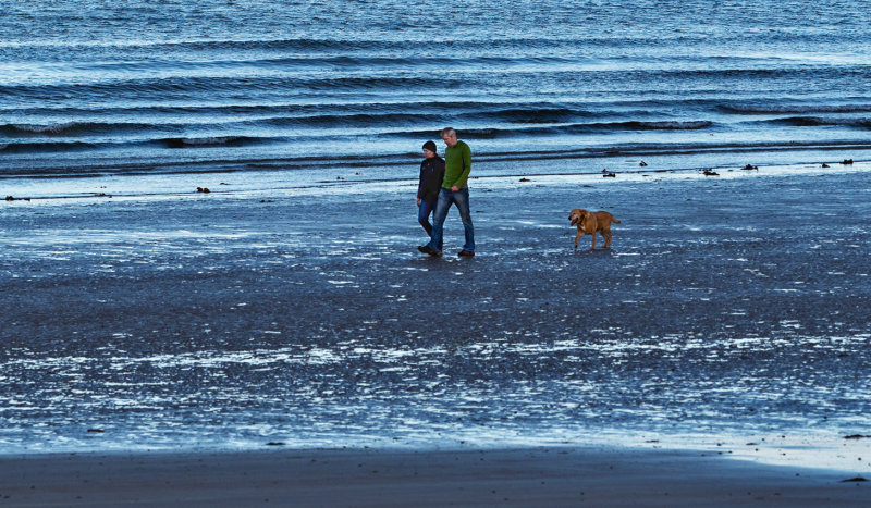 A walk along Youghal Strand
