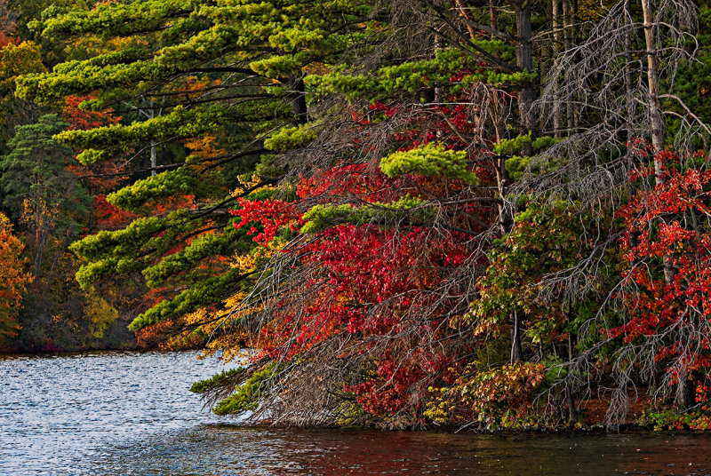 October in Connecticut