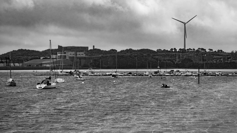 Along the River Lee