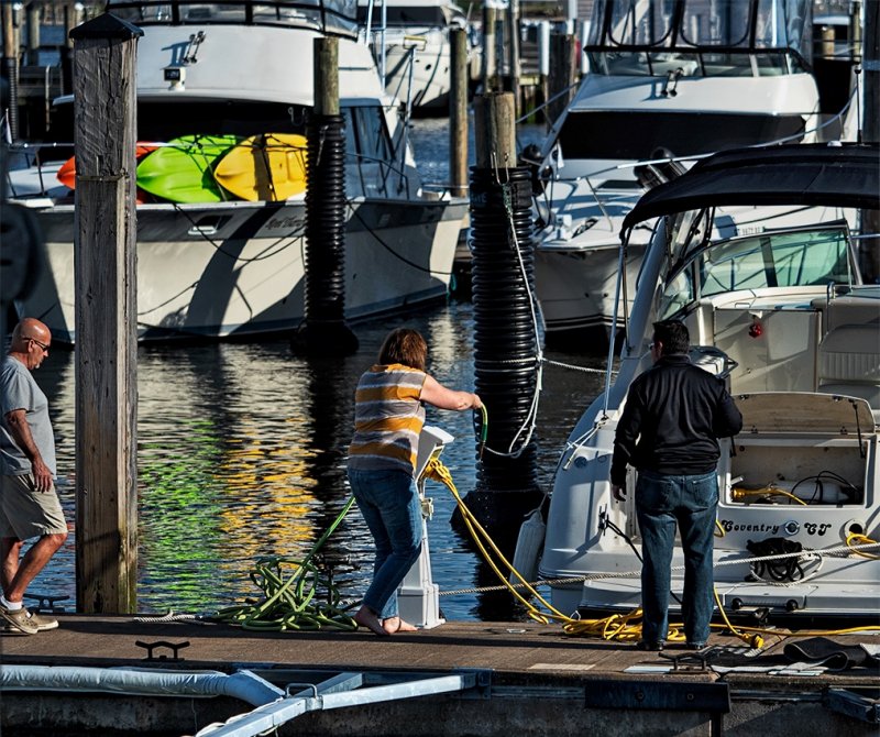 at the marina