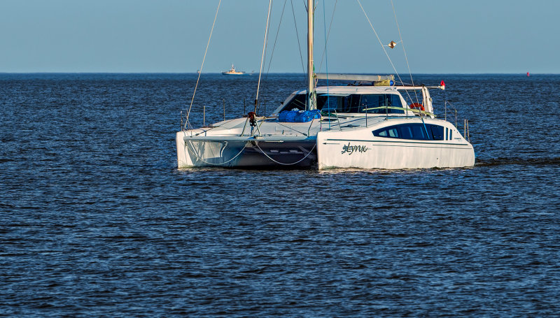 catamaran +