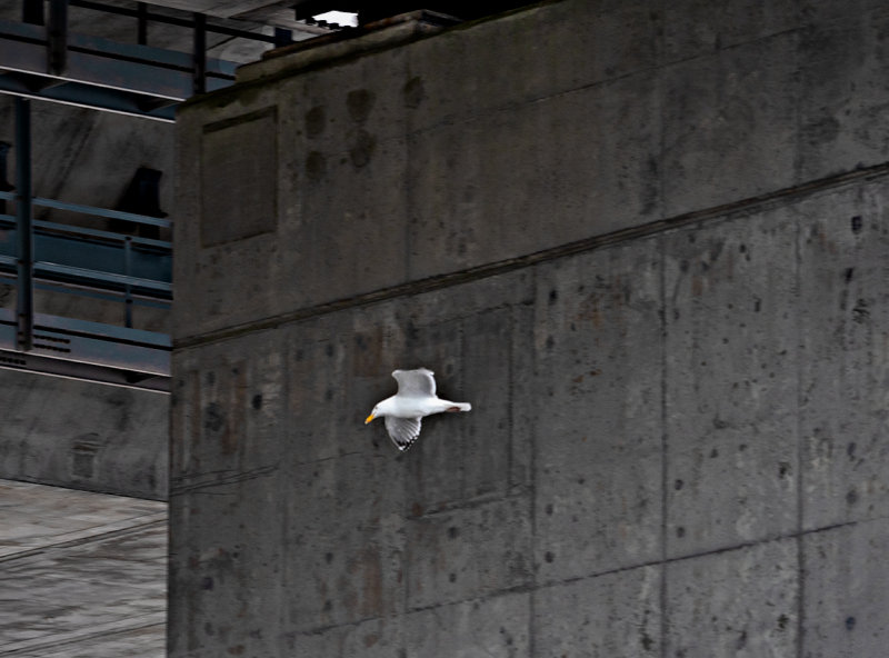 Under the Raymond E. Baldwin Bridge