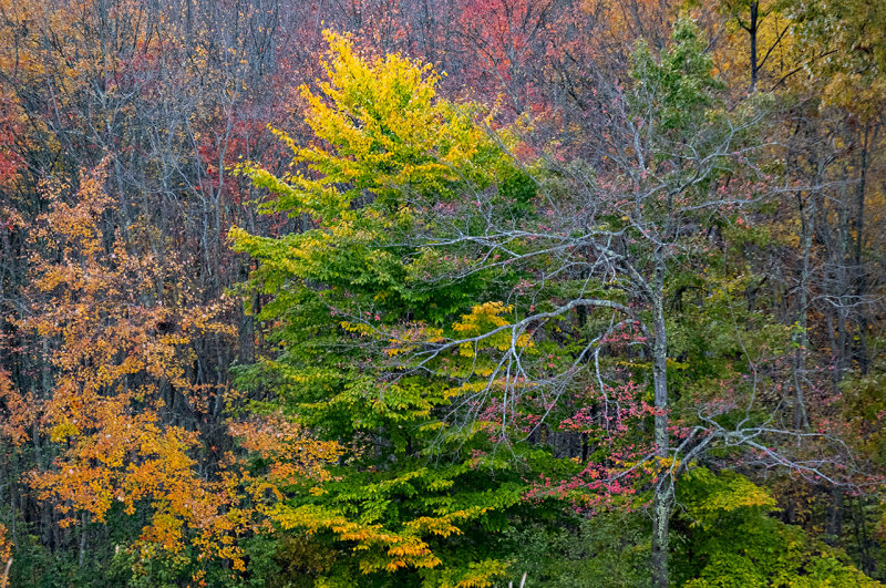 autumn in Connecticut