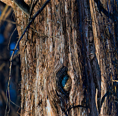 February in Connecticut