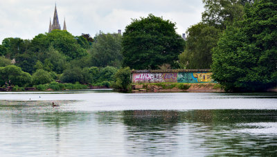 Along the River Lee