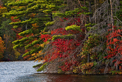 October in Connecticut