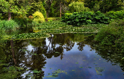 Fota Wildlife Park Gardens