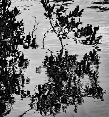 Reflections - The River Lee