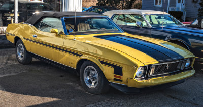 1973 Ford Mustang (last of the first generation Mustangs-1965-75)