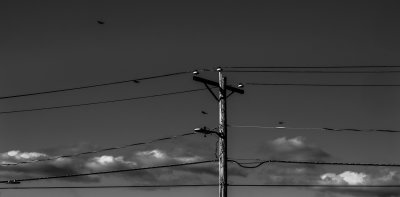 electric lines, birds and clouds