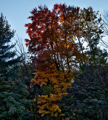 autumn in Connecticut