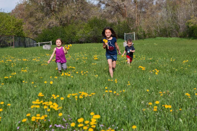 3511 kids in pasture with flowers.jpg