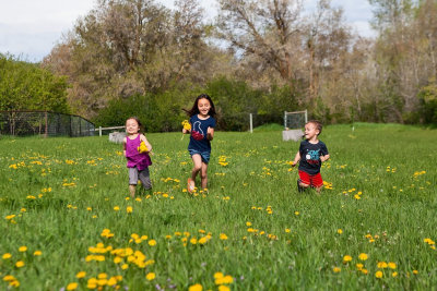 3513 kids in pasture with flowers.jpg
