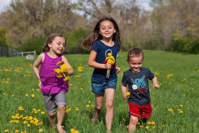 3514 kids in pasture with flowers.jpg