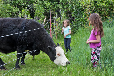 0906_Kids_and_cows.jpg