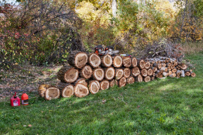 4690_Firewood.jpg