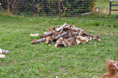 4790_Firewood.jpg