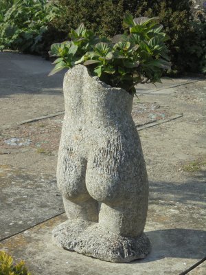 DSC00682.jpg