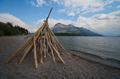 Driftwood Creation
