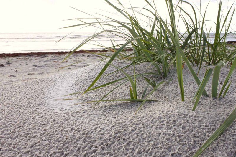 Heavy raindrops in the sand