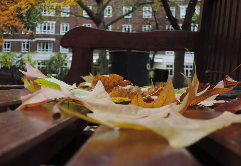 In a London park