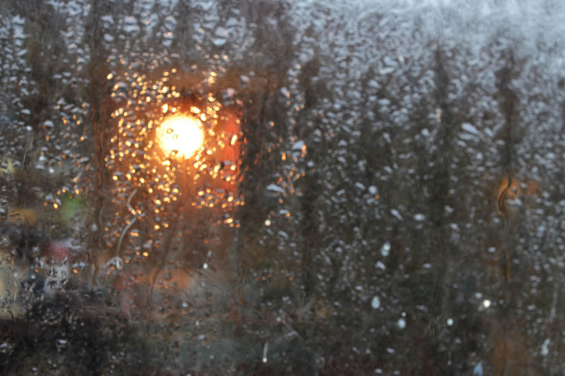 Through the frosted window