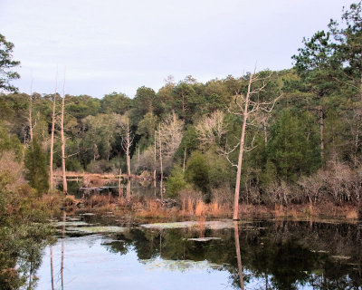 01 - POND after - IMG_4764