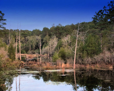 01 - POND Nik Effects - IMG_4764