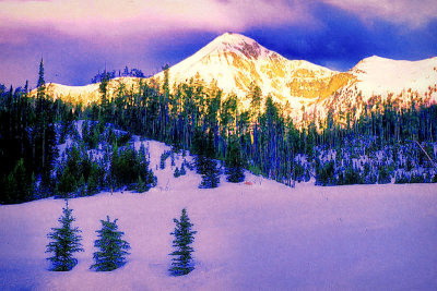 Montana winter scene purple trees pink snow