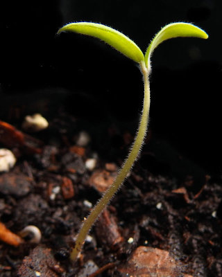 g10/01/977101/3/165205458.Nx0zc5Pz.jpg