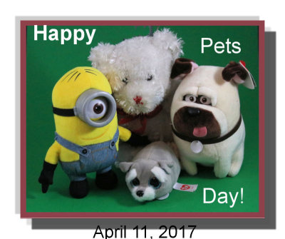 My Pets - IMG_6485