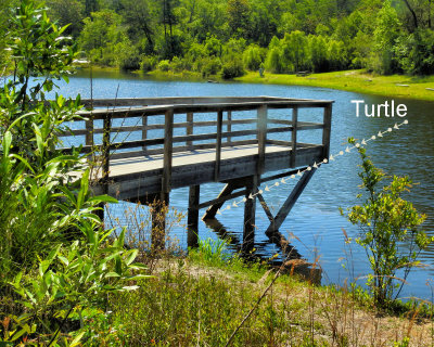 Fishing Pier at the Pond - DSCN6225