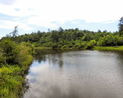 05 - DSCN6905.JPG