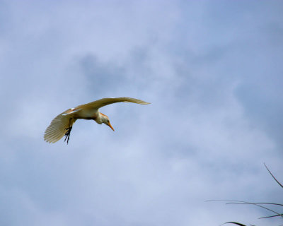 01 - in flight - IMG_8131