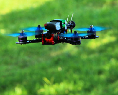 10 - blue in flight - IMG_8839.JPG 