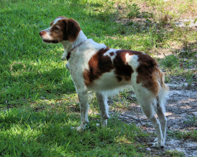 03 - Ruby - IMG_8913.JPG 