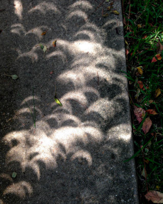 08 - Eclipse on sidewalk-1457.jpg