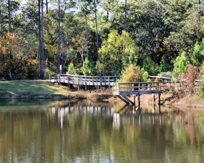 Anderson pond piers - IMG_1174