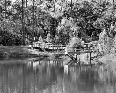 Grayscale - anderson pond piers - IMG_1174