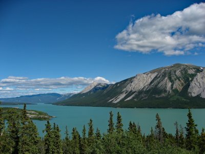 Tagish Lake