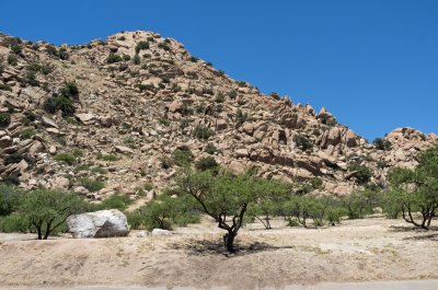 Texas Canyon Rest Area